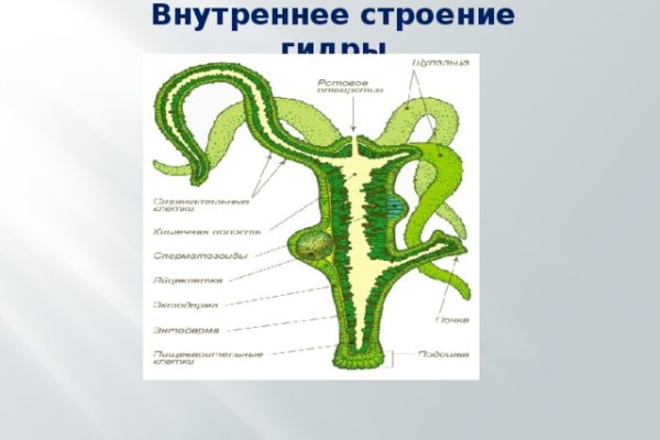 Кракен сайт