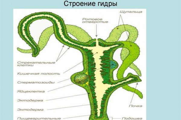 Ссылки на даркнет