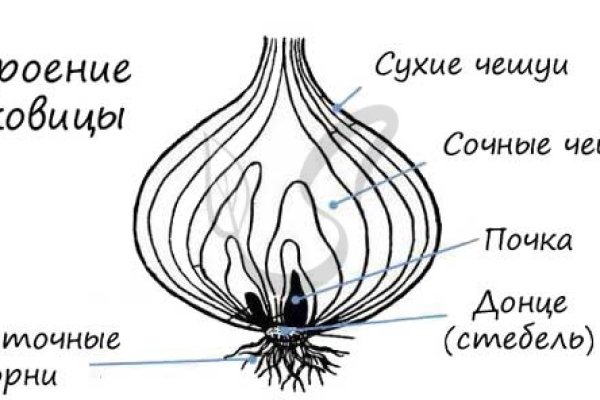 Где найти ссылку кракен